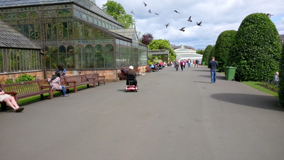 Glasgow Botanics